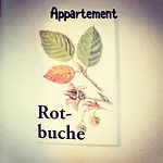 Rotenstein Apartment Berwang