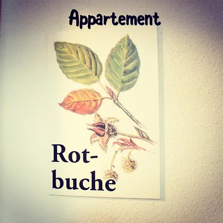 Rotenstein Appartement Berwang