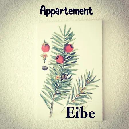 Rotenstein Appartement